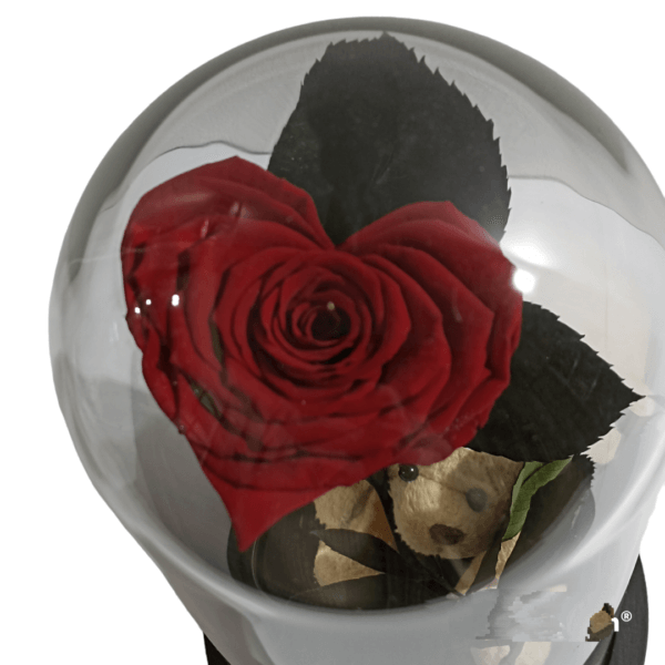 Forever rose με σχήμα καρδιά.