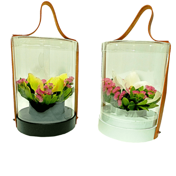 Ορχιδέα σε διάφανο κουτί με δερμάτινο χερούλι. Λευκό μαύρο.(12χ25)